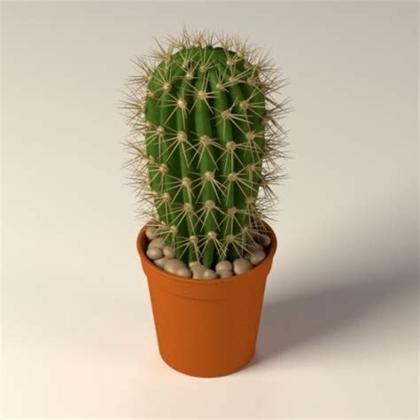 Picking it up doesn't require a pair of shears. 8 Plants That Make for a Clean and Happy Office