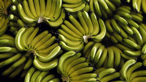 Krefeld: Giftige Spinne in Supermarkt-Bananenkiste sorgt für