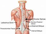 Core Muscles Lower Back Pain