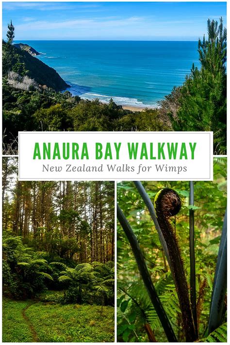 Anaura Bay Walkway Jenny Singleton Flickr
