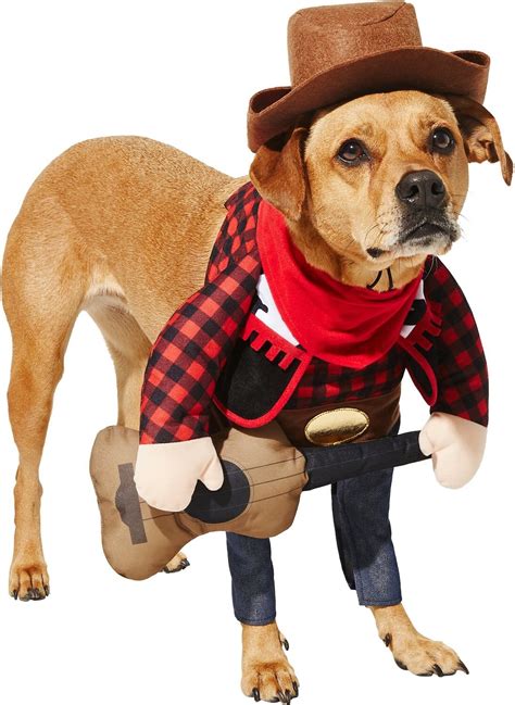 Frisco Front Walking Country Singer Dog And Cat Costume Large