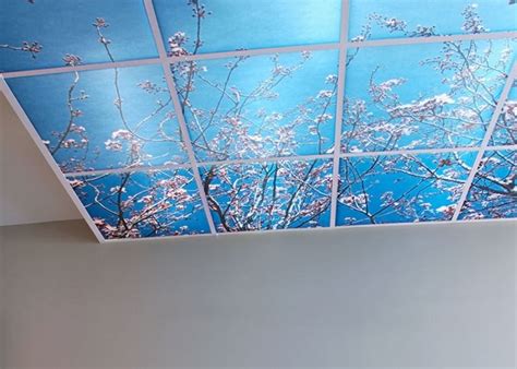 With lowered ceiling heights in a building armstrong offer specially designed ceiling tile solutions for spaces including kitchens, bedrooms, basements, powder rooms, dining rooms and living rooms. Acoustic ceiling tiles - what do you need to know about them?