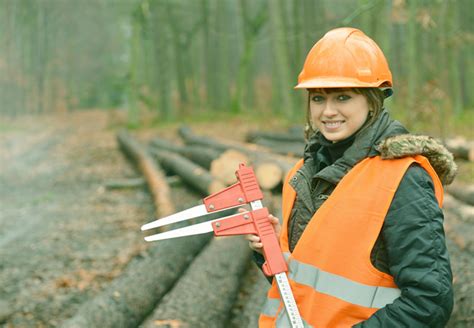 What Are The Job Opportunities After Bsc Forestry Infolearners