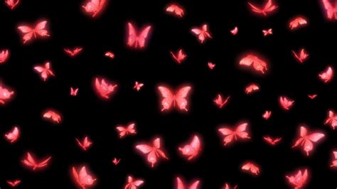 Black And Pink Butterfly Wallpapers