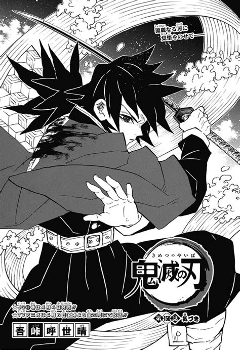 Giyu Tomioka Image Gallery Kimetsu no Yaiba Wikia Fandom Imagenes de manga anime Cómics