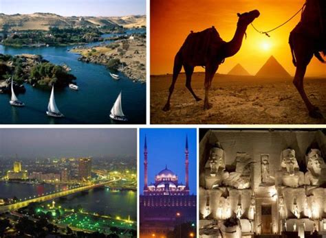 حتى منتصف القرن التاسع عشر، لم يكن هناك أى تشريع يخص تجارة الآثار بمصر، فقد كانت هناك آلاف القطع الأثرية من مجوهرات وتماثيل ونقوش وحتى آثار بأكملها قد نزعت من بيئتها الأصلية لتنضم إلى مجموعات خاصة أو مجموعات متاحف مختلفة حول العالم. معلومات عن وزارة السياحة والآثار المصرية وجهود وزارة ...