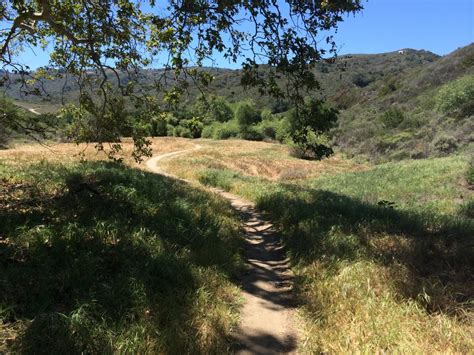Aliso And Wood Canyons Wilderness Park Mountain Bike Trail In Laguna