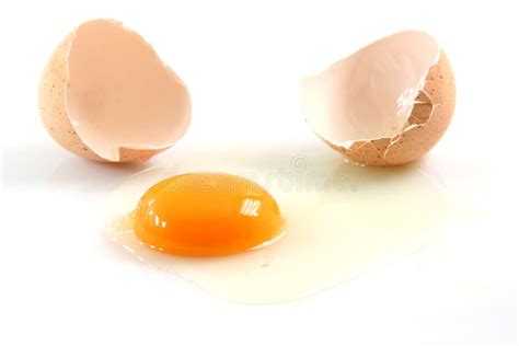 Egg Broken Isolated Stock Photo Image Of Animal Food 4085214