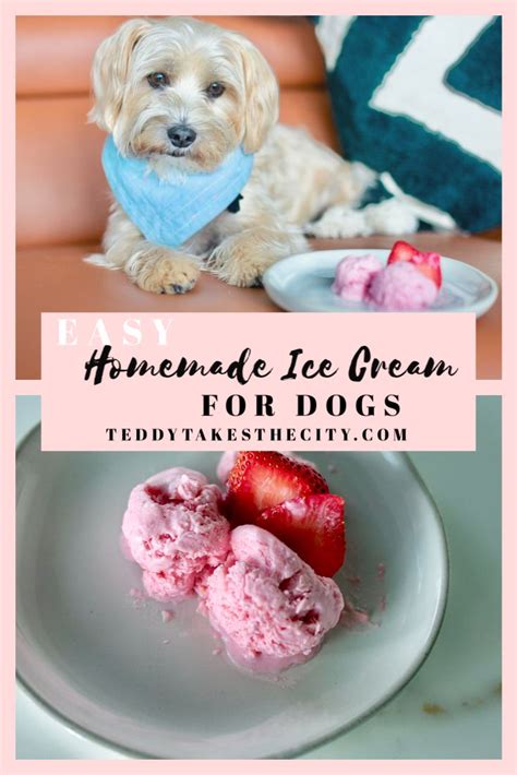 Easy Homemade Ice Cream For Dogs Dog Ice Cream Homemade Ice Easy