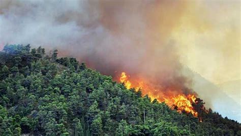 Mientras tanto, dos personas fueron trasladadas por aire a hospitales tras resultar gravemente heridas en la zona, dijo cal fire. Inflamabilidad de las plantas e incendios forestales ...