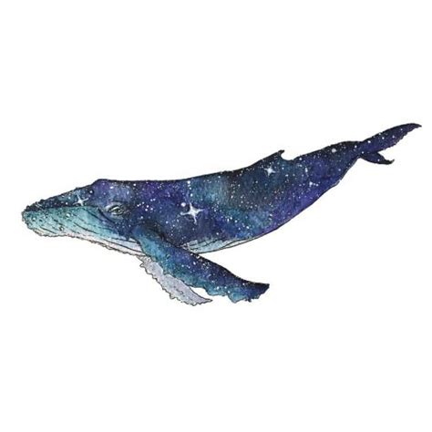 Find images of humpback whale. 39 best Humpback Whale images on Pinterest | Collar stays ...