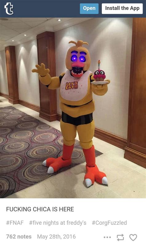 Chica Visits Confuzzled Made A Few Friends At The Same Time Fnaf