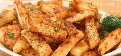 You can start with all the right foods but you still. Kohlrabi Recipes for Gardeners