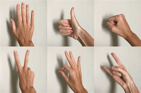 Gentle Introduction To 2d Hand Pose Estimation Approach Explained By
