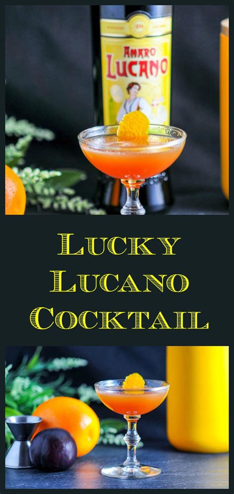 The Lucky Lucano A Combination Of Plum Amaro Bourbon Lemon Juice And Simple Syrup Cheers