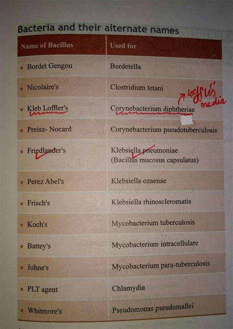 Atypical Bacteria List Samanthaharwood