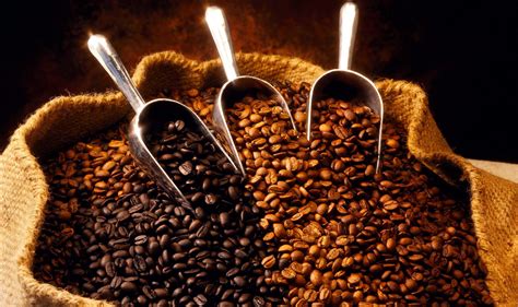 Coffee Blends Passport Coffee And Tea Wholesaler