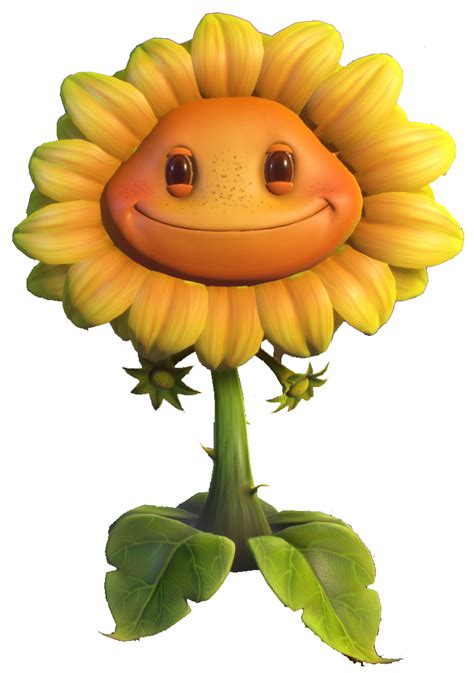 Image Hd Sunflower Gw2png Plants Vs Zombies Wiki Fandom Powered