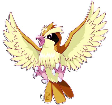 016 Pidgey Pokemon Pidgeot Pokemon Drawings Bird Pokemon