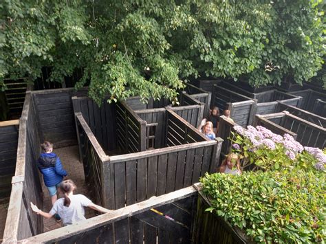 Cheam Fields Primary on Twitter: "So much to do @RobinHillIW We started