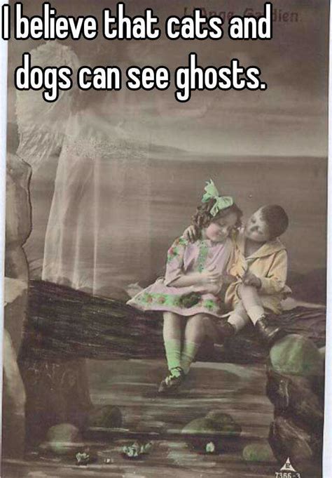 Get the answers you've been looking for. I believe that cats and dogs can see ghosts.