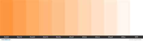 Outrageous Orangesicle Colors Palette Colorswall
