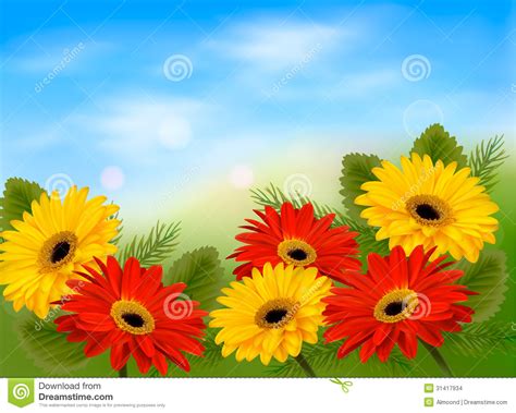Nature Background With Colorful Beautiful Flowers Stock