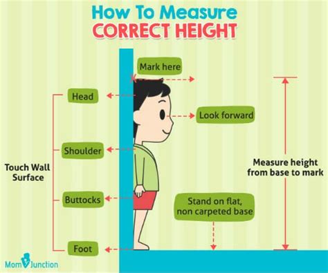 How Do You Measure Your Height Arizonarts