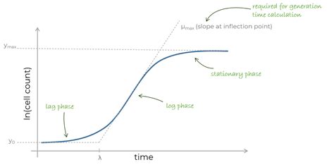 Pathology Tips Viral Growth Curve Growth Cycle