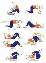Exercises Strengthen Lower Back Images