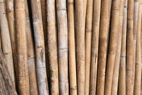 Brown Bamboo Pile Prepare For Construction Building Materials Stock