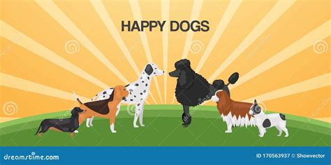 Happy Dogs Different Breeds Baner Vector Illustration Big Size Dogs