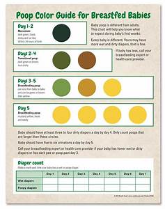 Your Baby Color Chart Explained Baby Journey Newborn Care Top 10