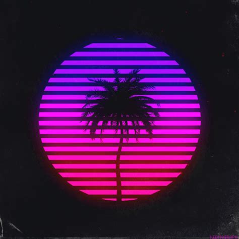 You have to figure in the 80's they would run till it was empty. Palm Tree GIFs - Find & Share on GIPHY