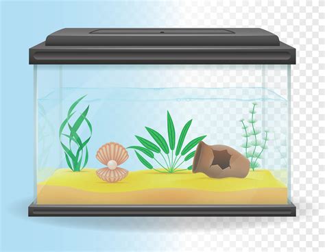 transparent aquarium vector illustration 510182 Vector Art at Vecteezy
