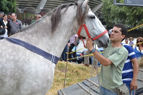 Mejorar la salud de los gatos y perros a través de la nutrición. Notiferias en Venezuela y el Mundo: PEPE: MI VIDA CON LOS ...