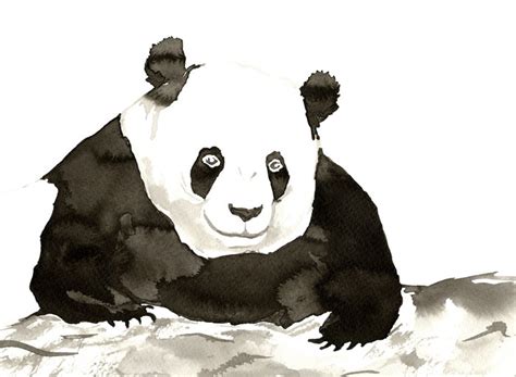 Giant Panda Art Print By Brazen Edwards Society6