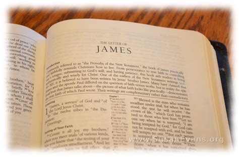 Who Wrote The Book Of James In The Bible And Why / The Bible Is The