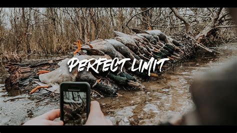 Duck Hunting Perfect Limit In The Arkansas Woods Youtube