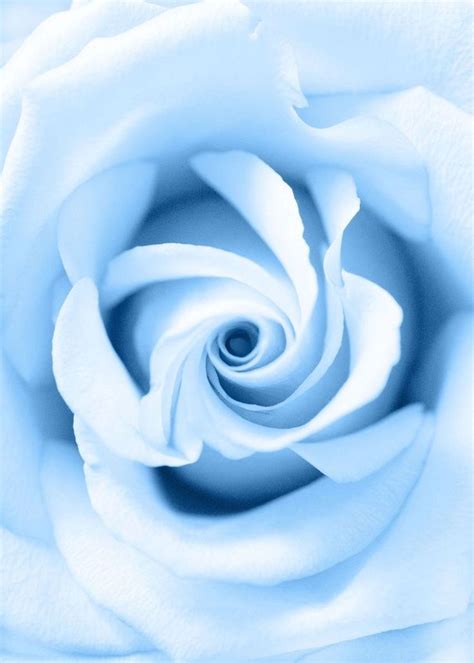 ᏣᎯᎵᖇᎲᏣᏫᖇᏁ in 2021 | Baby blue aesthetic, Light blue aesthetic, Cute