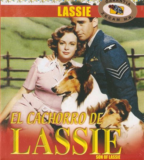 Lassie El Cachorro De Lassie 1945 Peter Lawford Donald Crisp June