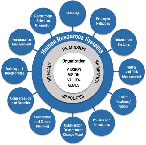 Human Resources Model Oec Strategic Solutions