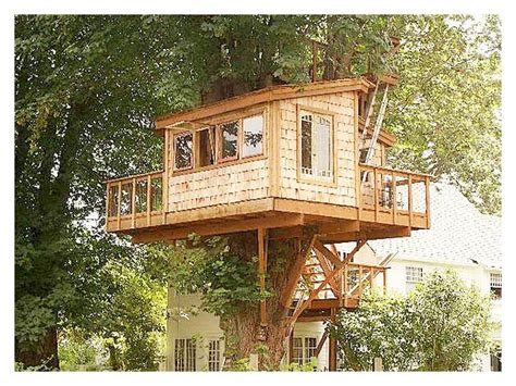 1 simple house design floor plan of a 2 or 3 bhk house. New Tree House Designs And Plans Free - New Home Plans Design