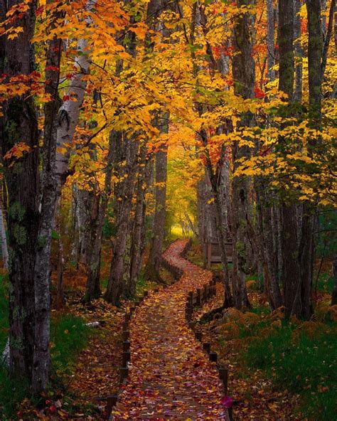 Acadia National Park Fall Pictures Nature Autumn Scenery Maine