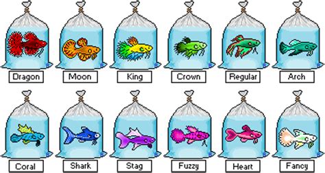 Sesungguhnya nama yang paling dibenci oleh allah adalah. 1001 Tipe Jenis Nama ikan Laga Crowntail, dan Cupang ...