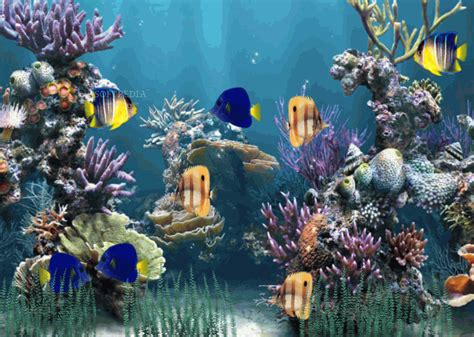 49 Moving Fish Aquarium Wallpaper