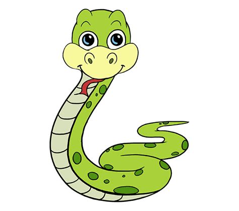 Snake Cartoon Drawing - snakes png download - 678*600 - Free Transparent Snake png Download ...