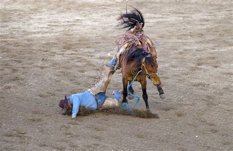Cowboys Competing In Ranch Bronc Riding Editorial Photography Image