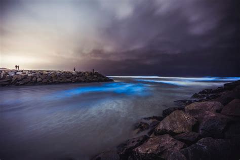 Beautiful Photos Of Beaches That Naturally Glow Readers Digest