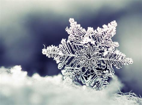 Aron otra noche que se me ha hecho tarde (nieve, nieve; Cristales de nieve
